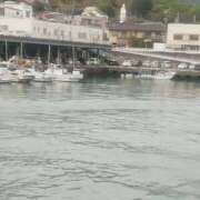 ヒメ日記 2026/04/24 11:06 投稿 みなと 大宮おかあさん