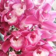 ヒメ日記 2025/01/03 23:50 投稿 博美（ひろみ） エッチな熟女(熊谷)