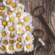 ヒメ日記 2025/07/19 16:08 投稿 野々原楓 五十路マダム 郡山店