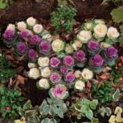 野々原楓 出勤します 五十路マダム 郡山店