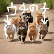 ヒメ日記 2024/12/31 21:14 投稿 かおる フィエスタ