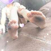 ヒメ日記 2025/09/04 10:44 投稿 かおる フィエスタ