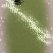 ヒメ日記 2025/10/17 11:48 投稿 かおる フィエスタ