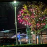 ヒメ日記 2025/11/16 19:24 投稿 かおる フィエスタ