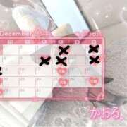 ヒメ日記 2025/12/15 08:34 投稿 かおる フィエスタ