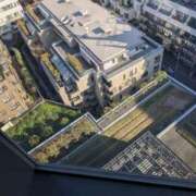 ヒメ日記 2026/01/18 16:34 投稿 かおる フィエスタ