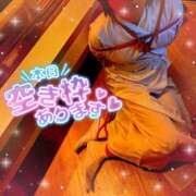 ヒメ日記 2026/01/25 07:14 投稿 かおる フィエスタ