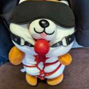 ヒメ日記 2026/03/22 22:14 投稿 かおる フィエスタ