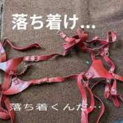 ヒメ日記 2026/10/12 10:23 投稿 かおる フィエスタ
