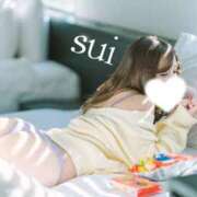 ヒメ日記 2025/04/13 10:45 投稿 翠（すい） 男爵