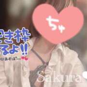 ヒメ日記 2025/03/22 05:52 投稿 女講師さくら ていくぷらいど.学園