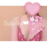 ヒメ日記 2025/07/02 11:15 投稿 女講師さくら ていくぷらいど.学園