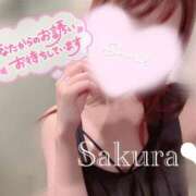 ヒメ日記 2025/07/24 14:31 投稿 女講師さくら ていくぷらいど.学園