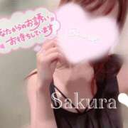 ヒメ日記 2025/08/11 05:56 投稿 女講師さくら ていくぷらいど.学園