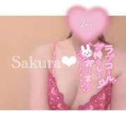 ヒメ日記 2025/09/11 07:16 投稿 女講師さくら ていくぷらいど.学園