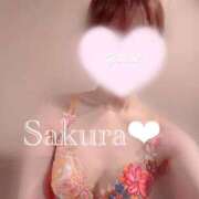 ヒメ日記 2025/10/12 06:03 投稿 女講師さくら ていくぷらいど.学園