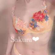 ヒメ日記 2025/12/12 07:13 投稿 女講師さくら ていくぷらいど.学園