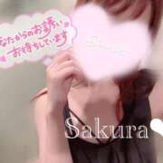 ヒメ日記 2026/03/17 09:31 投稿 女講師さくら ていくぷらいど.学園