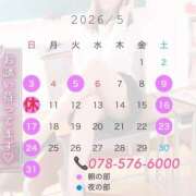 女講師さくら お知らせ📢 ていくぷらいど.学園