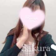 ヒメ日記 2026/09/11 13:02 投稿 女講師さくら ていくぷらいど.学園