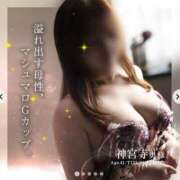 ヒメ日記 2025/09/22 11:24 投稿 神宮寺(じんぐうじ)奥様 金沢の20代30代40代50代が集う人妻倶楽部