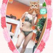 ヒメ日記 2024/12/20 19:53 投稿 蘭(らん) 上野人妻城