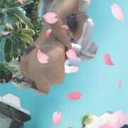 ヒメ日記 2024/12/21 19:45 投稿 蘭(らん) 上野人妻城