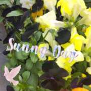 ヒメ日記 2025/03/01 20:12 投稿 蘭(らん) 上野人妻城