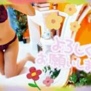 ヒメ日記 2025/09/14 23:11 投稿 蘭(らん) 上野人妻城