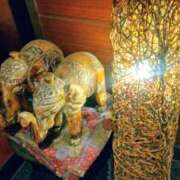 ヒメ日記 2025/10/08 16:29 投稿 蘭(らん) 上野人妻城