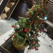 ヒメ日記 2025/12/18 15:34 投稿 蘭(らん) 上野人妻城