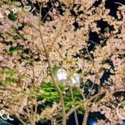ヒメ日記 2026/03/29 13:45 投稿 蘭(らん) 上野人妻城