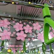 ヒメ日記 2026/04/09 14:27 投稿 蘭(らん) 上野人妻城