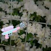 蘭(らん) フェンス越し、、悶々。 上野人妻城