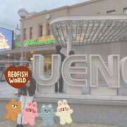 ヒメ日記 2026/04/24 15:38 投稿 蘭(らん) 上野人妻城