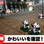 ヒメ日記 2026/09/08 15:33 投稿 蘭(らん) 上野人妻城