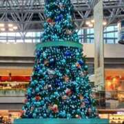 ヒメ日記 2024/12/11 15:48 投稿 優樹菜(ゆきな) 札幌人妻マドンナ