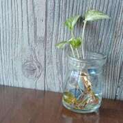 ヒメ日記 2025/01/23 21:58 投稿 優樹菜(ゆきな) 札幌人妻マドンナ