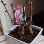 ヒメ日記 2025/03/04 19:07 投稿 優樹菜(ゆきな) 札幌人妻マドンナ