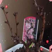 ヒメ日記 2025/03/09 19:03 投稿 優樹菜(ゆきな) 札幌人妻マドンナ