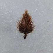 ヒメ日記 2025/03/13 17:42 投稿 優樹菜(ゆきな) 札幌人妻マドンナ