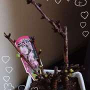 ヒメ日記 2025/03/16 19:03 投稿 優樹菜(ゆきな) 札幌人妻マドンナ