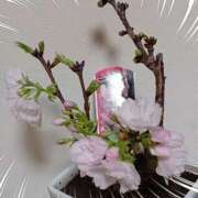 ヒメ日記 2025/03/25 18:48 投稿 優樹菜(ゆきな) 札幌人妻マドンナ