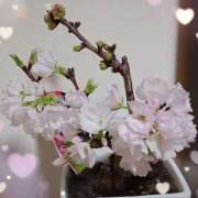 ヒメ日記 2025/03/28 18:49 投稿 優樹菜(ゆきな) 札幌人妻マドンナ