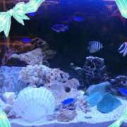 ヒメ日記 2025/03/29 09:18 投稿 優樹菜(ゆきな) 札幌人妻マドンナ