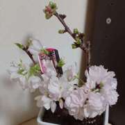 ヒメ日記 2025/03/29 19:19 投稿 優樹菜(ゆきな) 札幌人妻マドンナ