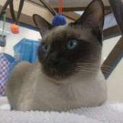 ヒメ日記 2025/04/05 00:03 投稿 優樹菜(ゆきな) 札幌人妻マドンナ