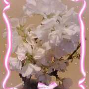 ヒメ日記 2025/04/09 18:48 投稿 優樹菜(ゆきな) 札幌人妻マドンナ