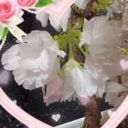 ヒメ日記 2025/04/12 18:48 投稿 優樹菜(ゆきな) 札幌人妻マドンナ