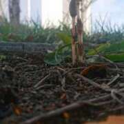 ヒメ日記 2025/04/21 19:19 投稿 優樹菜(ゆきな) 札幌人妻マドンナ